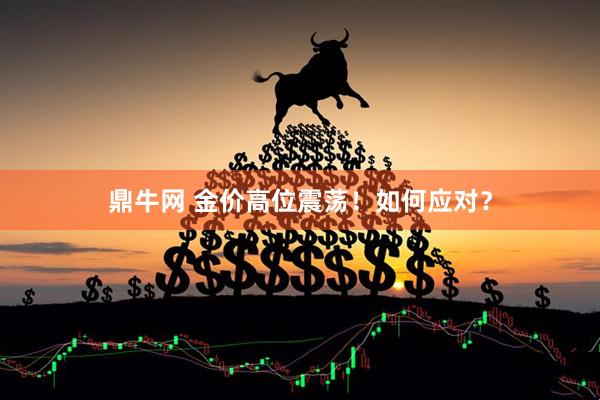 鼎牛网 金价高位震荡！如何应对？
