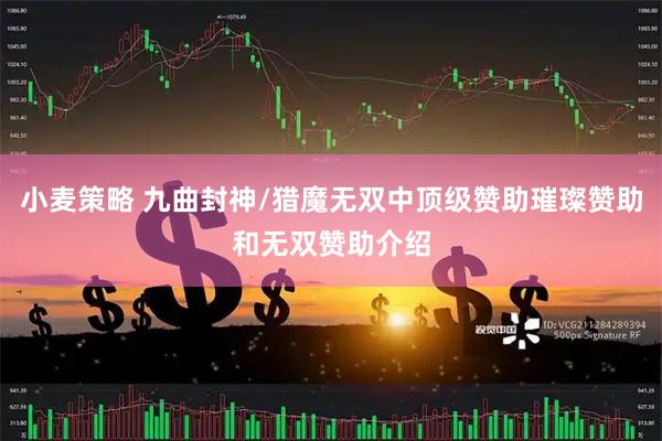 小麦策略 九曲封神/猎魔无双中顶级赞助璀璨赞助和无双赞助介绍
