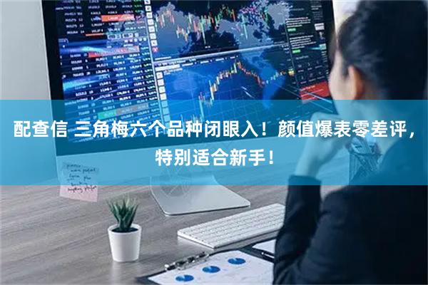 配查信 三角梅六个品种闭眼入！颜值爆表零差评，特别适合新手！