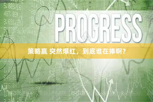 策略赢 突然爆红，到底谁在捧啊？