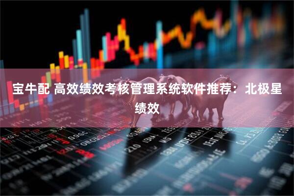 宝牛配 高效绩效考核管理系统软件推荐：北极星绩效