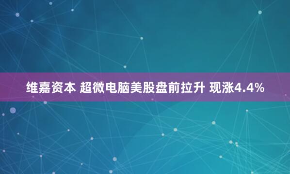 维嘉资本 超微电脑美股盘前拉升 现涨4.4%