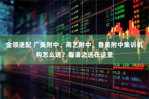 金领速配 广美附中、南艺附中、鲁美附中集训机构怎么选？靠谱之选在这里