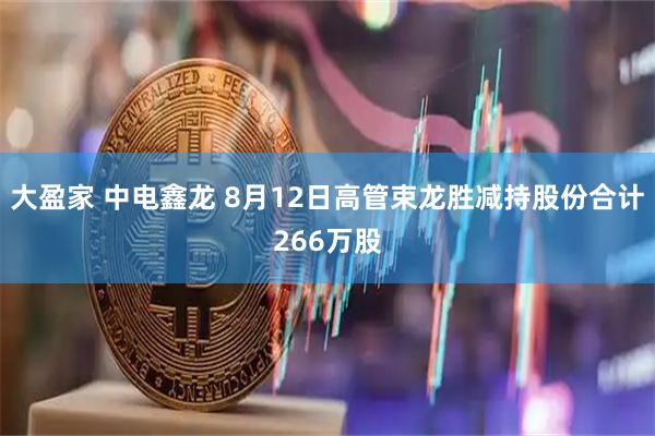 大盈家 中电鑫龙 8月12日高管束龙胜减持股份合计266万股